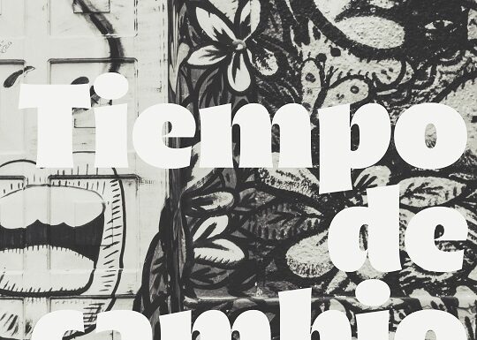 LAS REFORMAS DEL GOBIERNO